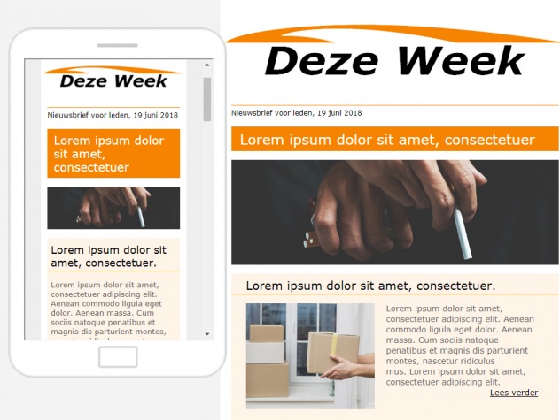 Nieuwsbrief responsive