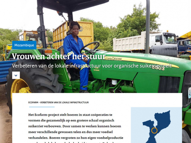 RVO artikel project